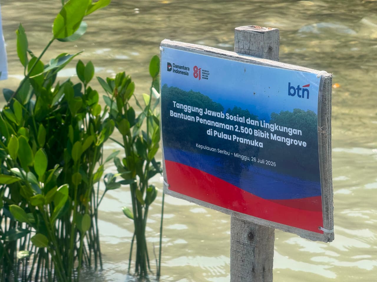 World Mangrove Day: Momentum to Strengthen Coastal Resilience in Seribu Islands and Boost Blue Carbon Absorption