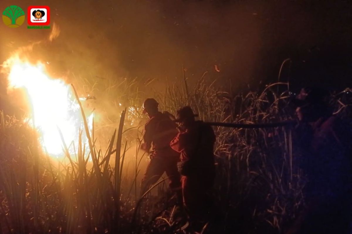 Manggala Agni Team Extinguishes 15-Hectare Forest and Land Fire in Ogan Ilir