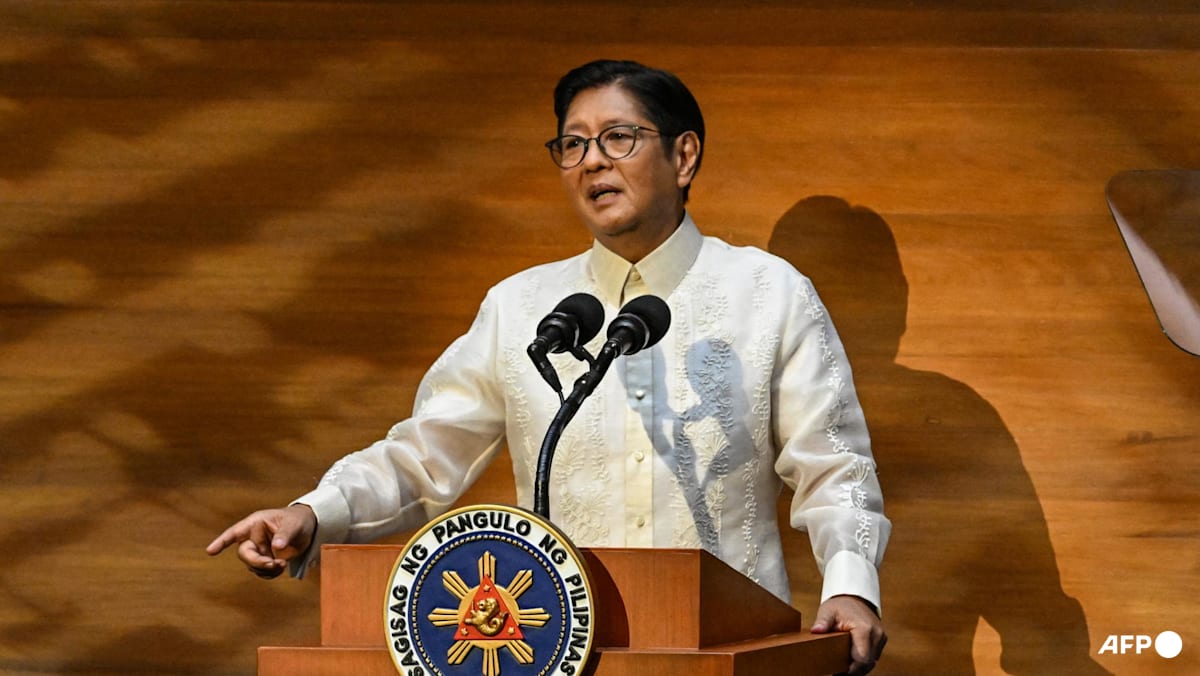 Philippines' Marcos says 'perhaps time to revisit nuclear energy'