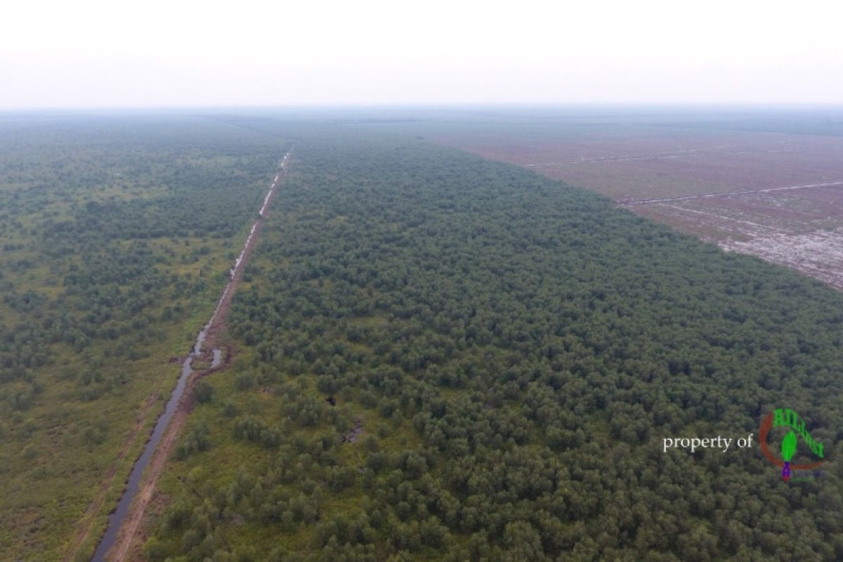 Forestry Ministry provides land certainty for communities to realise TORA