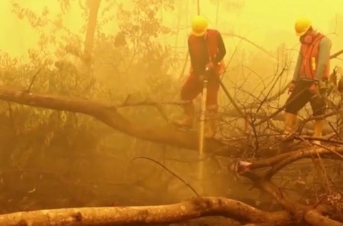 Forest Fire Erupts on Mount Paseban in Bandung Regency