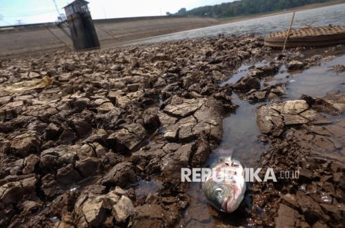 Prolonged Dry Season Causes Water Levels at Delingan Reservoir to Recede
