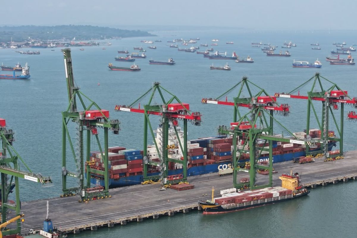 Pelindo: New routes and services boost container throughput