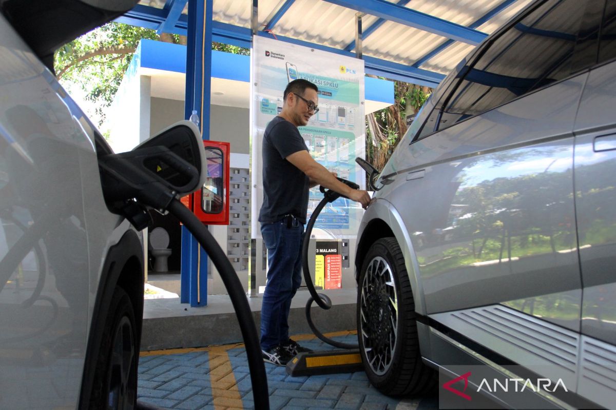 Airlangga: EV incentives to be linked with national car programme