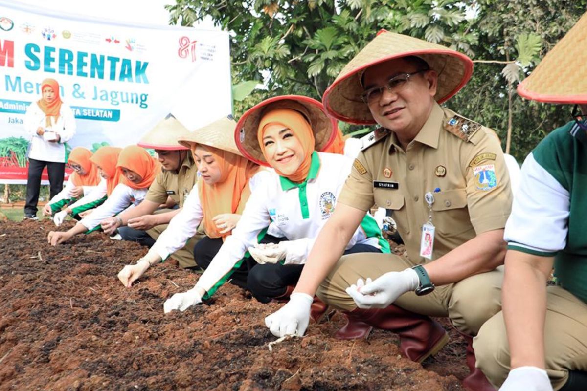 South Jakarta Administration Plants Onions and Corn Across 187 Locations