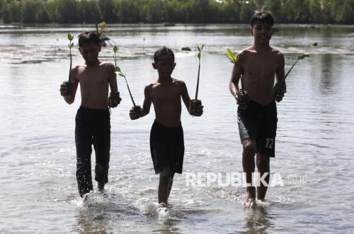 Indonesia Invites Japan to Develop World Mangrove Centre