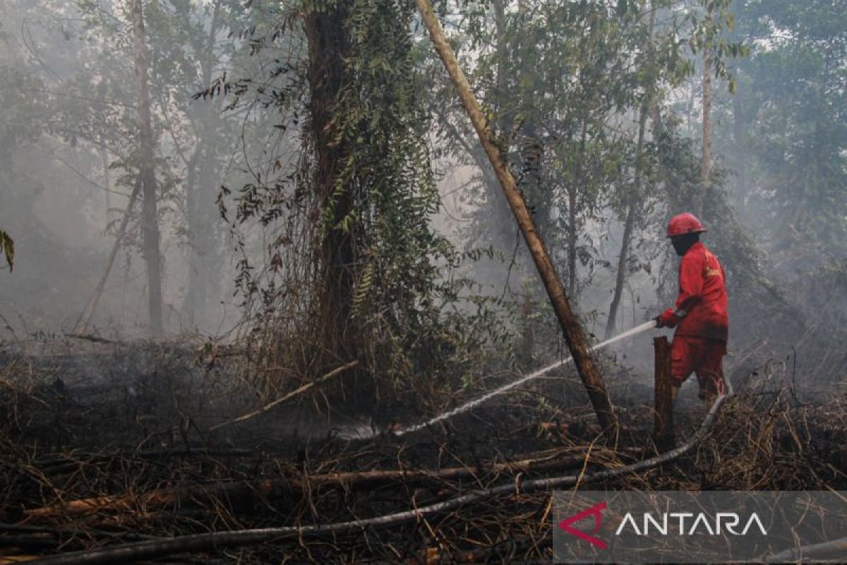 IPB Professor Urges Anticipatory Measures Against Forest Fires Ahead of Super El Niño