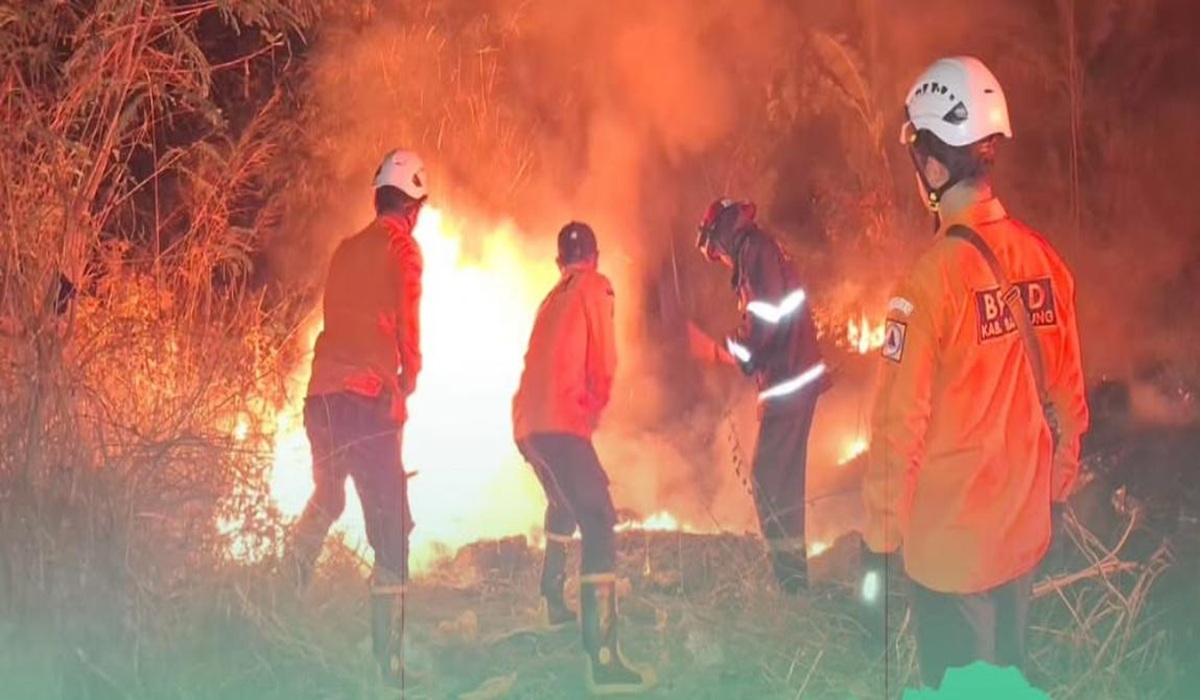 Forest and Land Fires Hit Five Regencies in West Java
