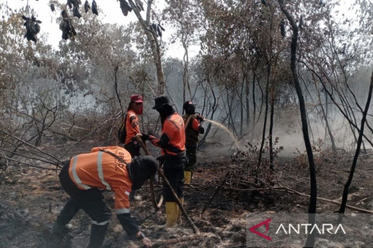 BNPB: Land fire flames in Probolinggo hills reignite