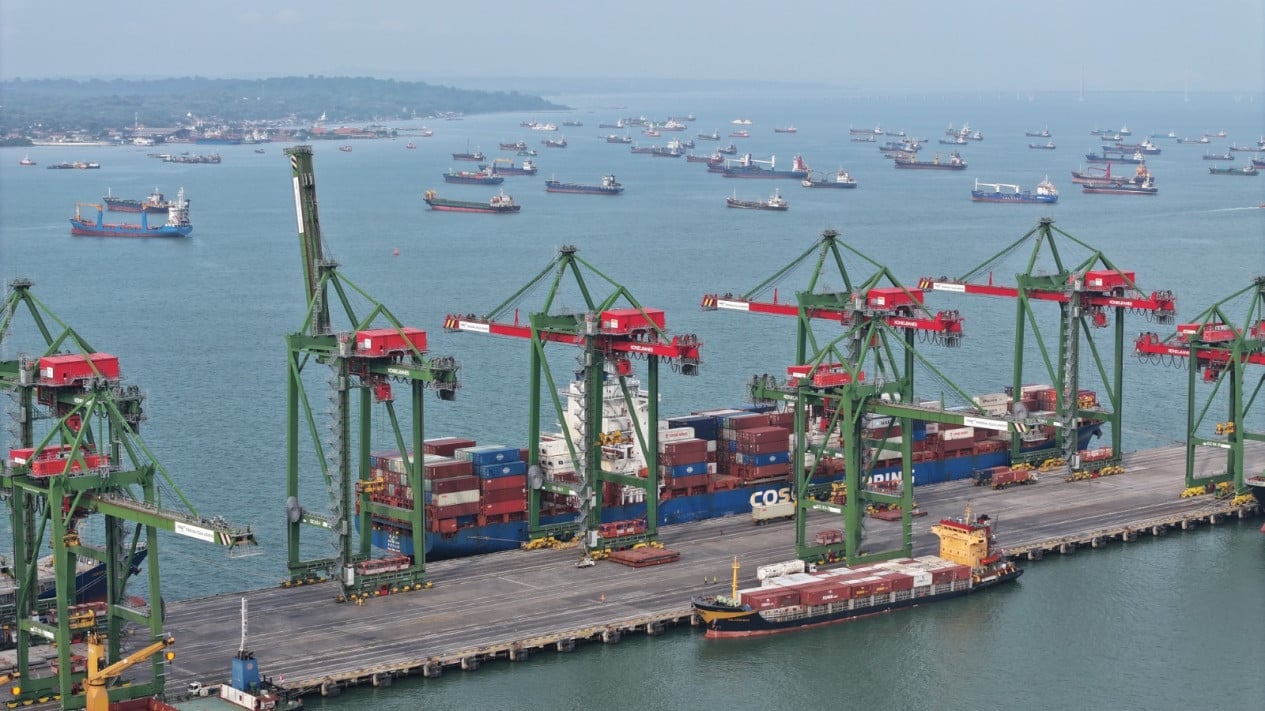 New Routes and Services Boost National Container Traffic