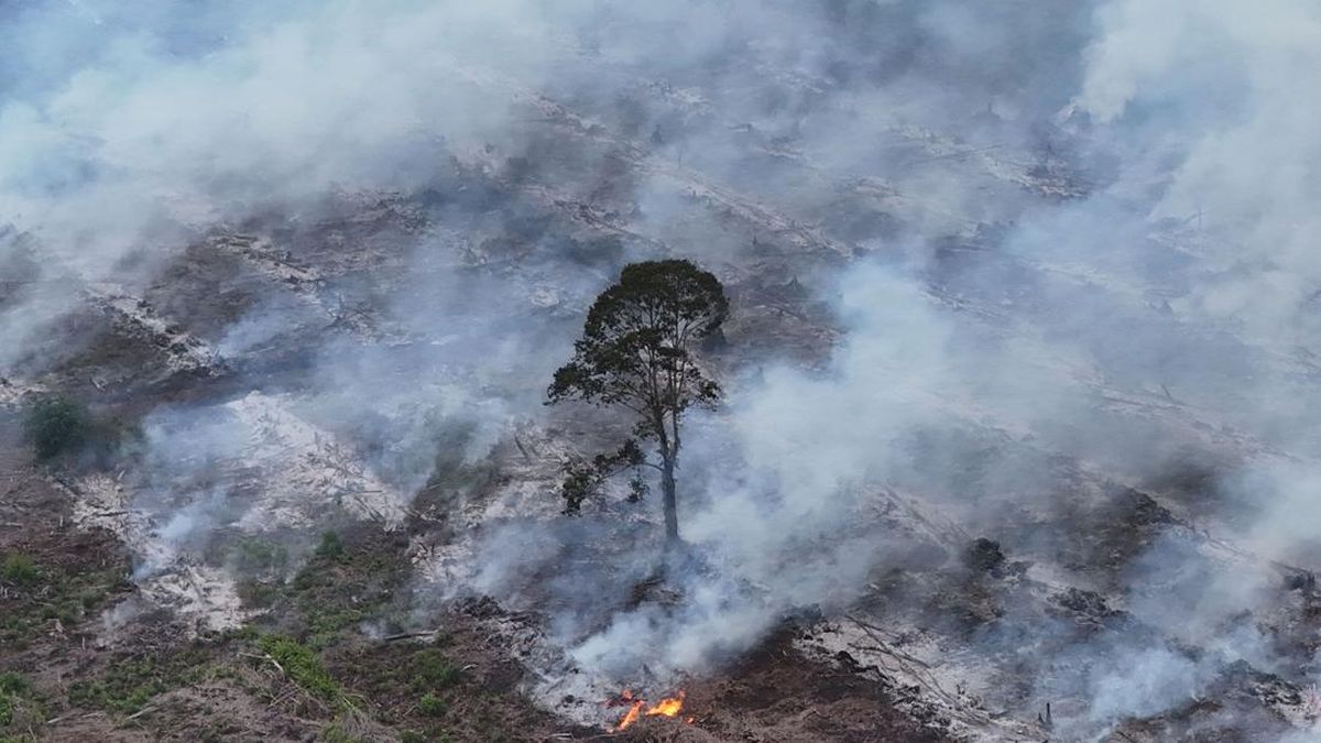 Four Regencies in Central Java Still Battling Forest and Land Fires