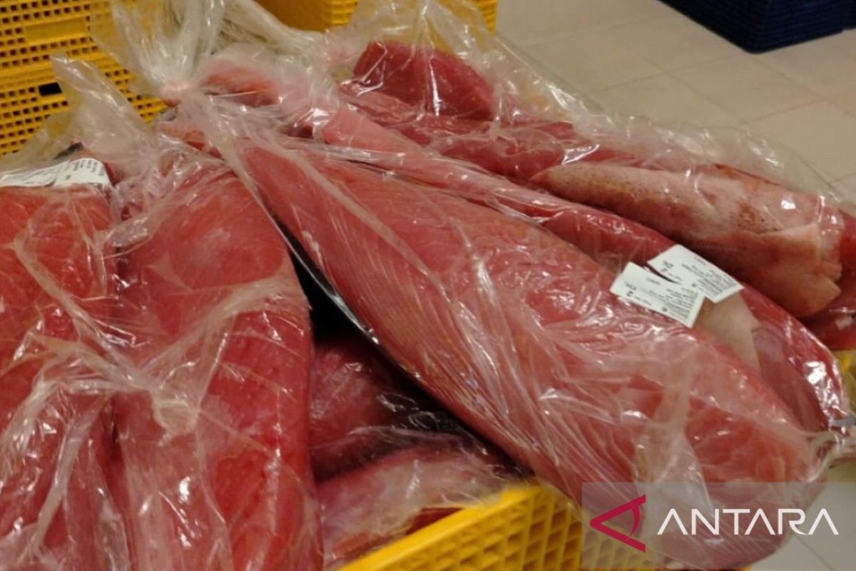 Processed Tuna Export Tariffs to Japan Set at Zero Per Cent from 1 August