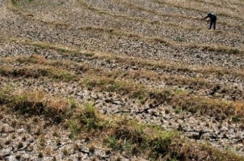 Drought Disaster Affects 15 Regencies and Cities in West Java