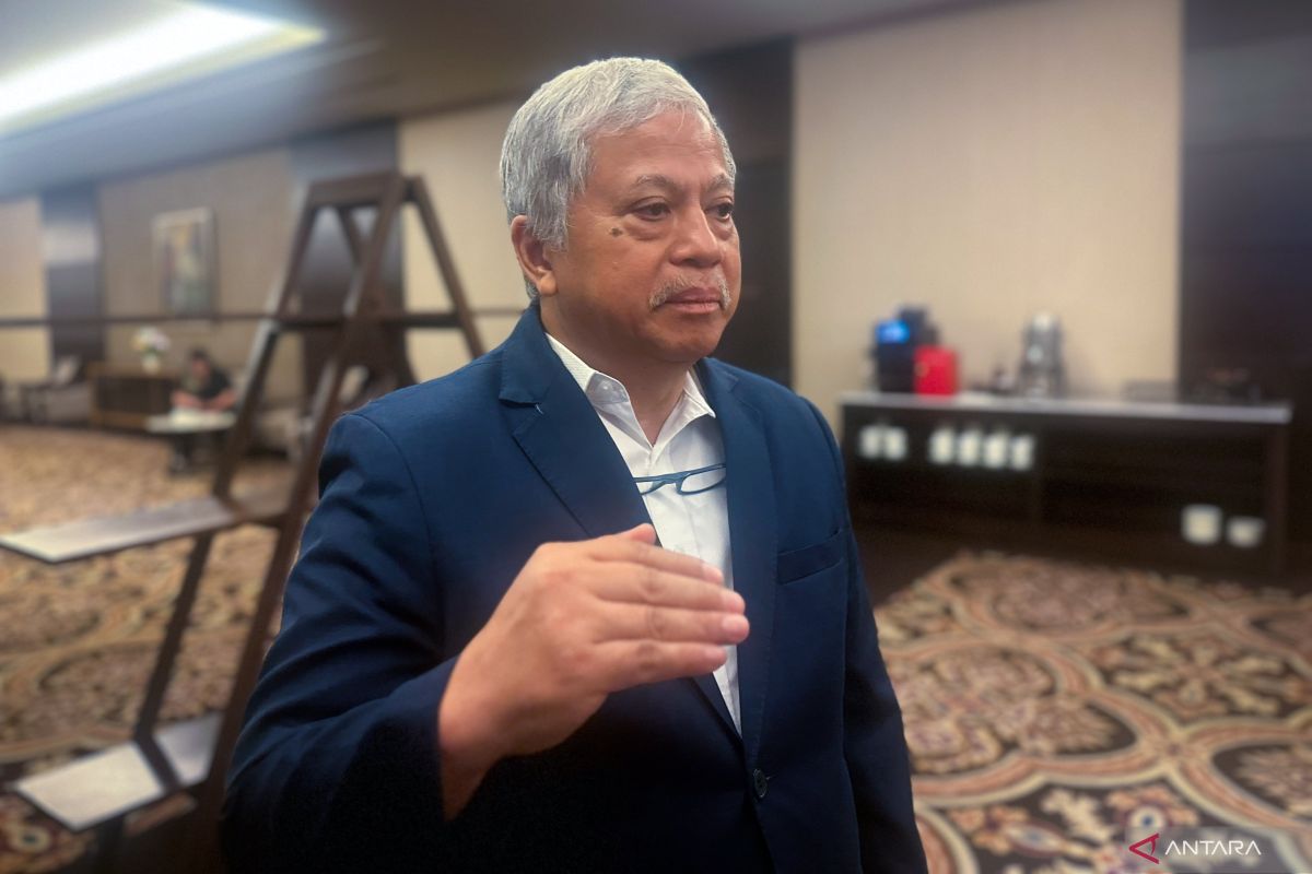 Regarding EV incentives, Periklindo says: Certainty is more important