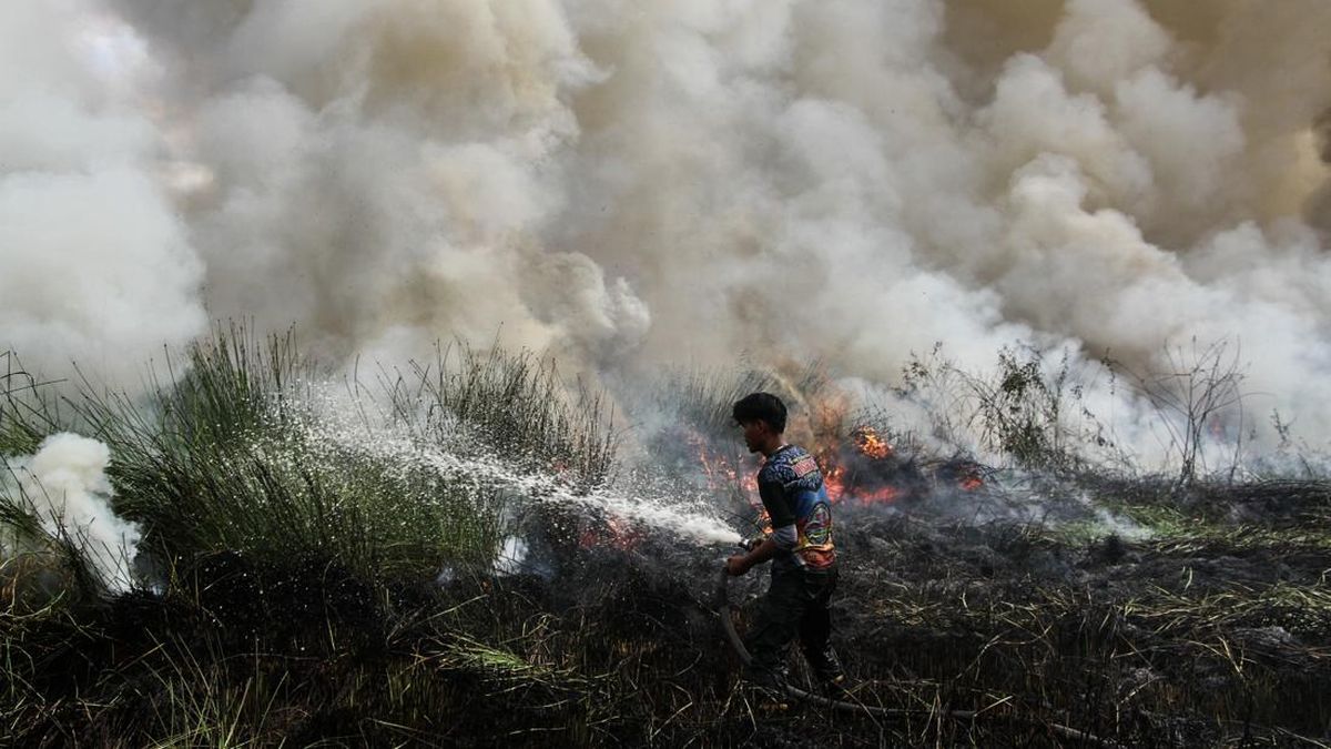 Six Provinces Prone to Forest Fires During Dry Season and El Niño Threat