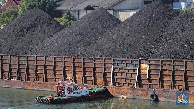 Coal Prices Fall for Second Day, but Positive News Emerges for Indonesia