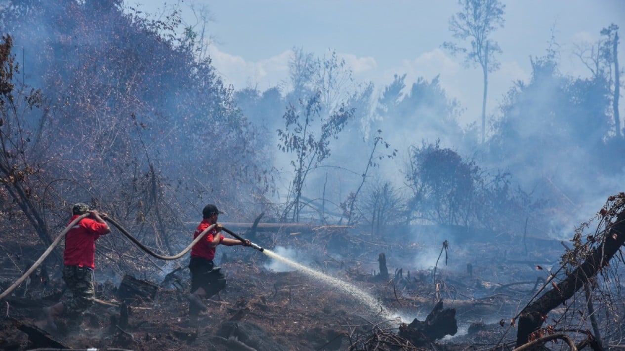 BMKG: Weather Modification Operations Can Increase Rainfall by 40 Percent to Prevent Forest Fires