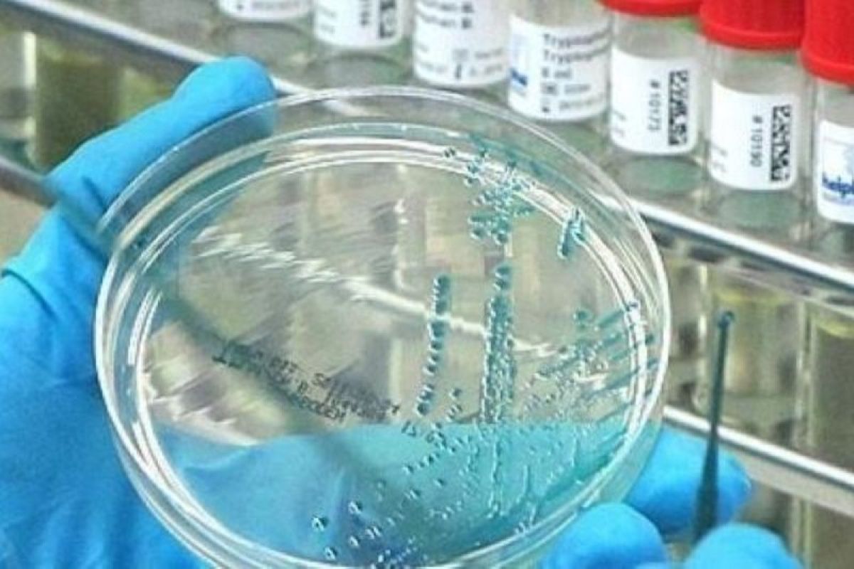 US restricts funding for high-risk gain-of-function research