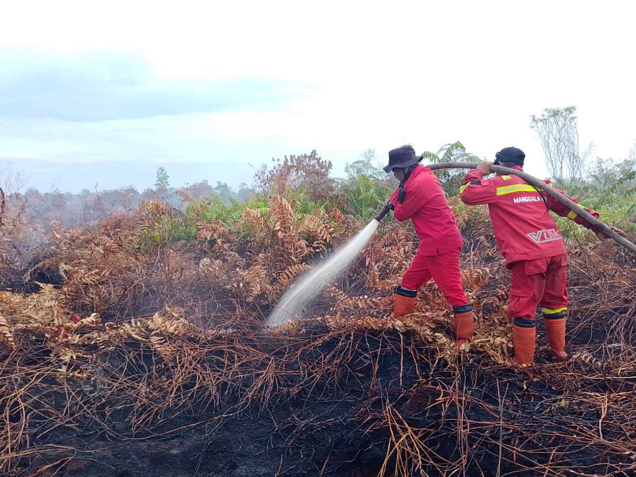Forest Fires Shift to Southern Sumatra as Riau Sees Reprieve
