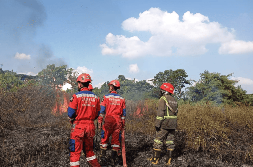 WALHI West Java: Human Activity Main Trigger of Forest Fires Beyond Extreme Weather