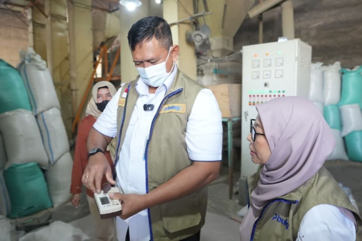 Bulog Ensures Partner Rice Quality in Demak is Excellent
