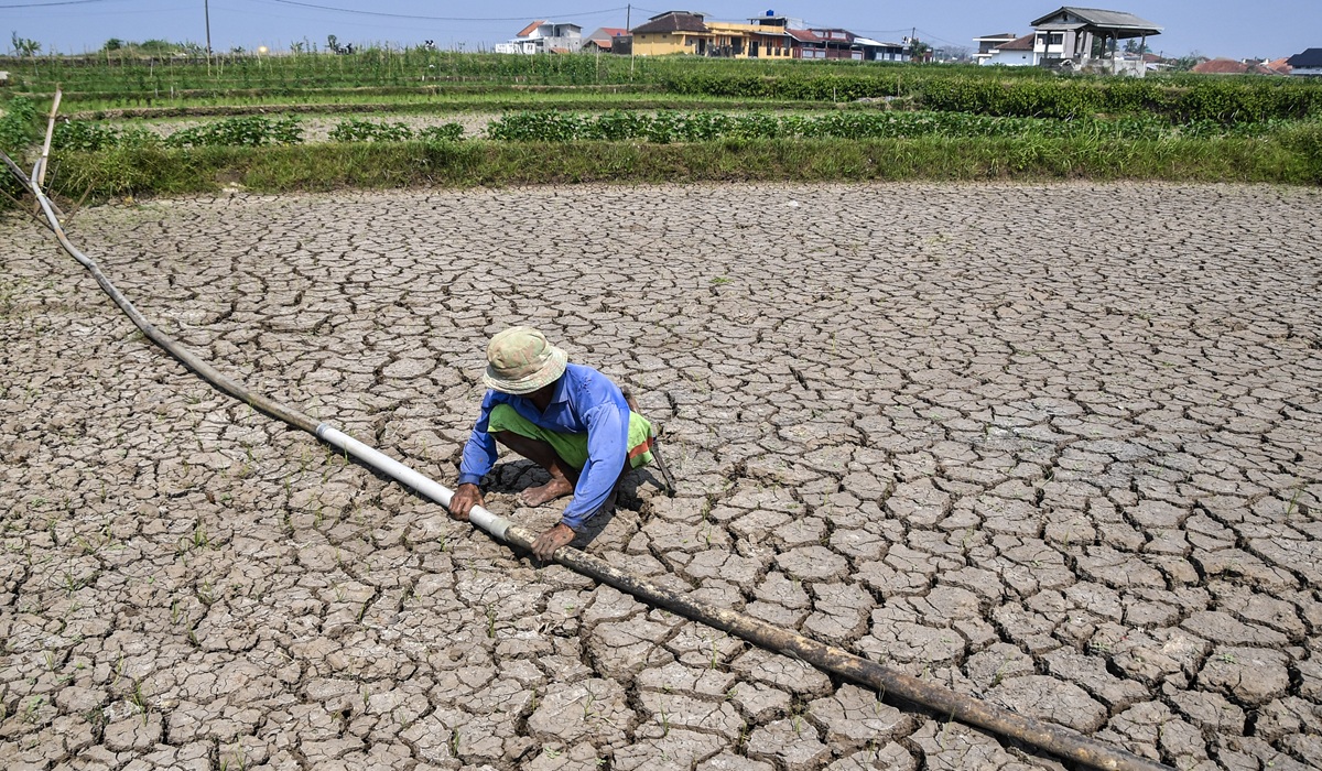 Drought Hits 17 Regencies and Cities in West Java