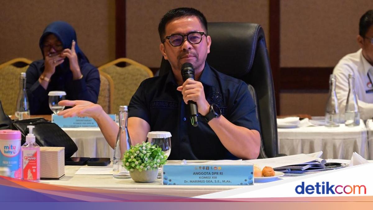 House Commission XIII Member Highlights Trauma of Child Witness to Fatal Mass Violence in Bali
