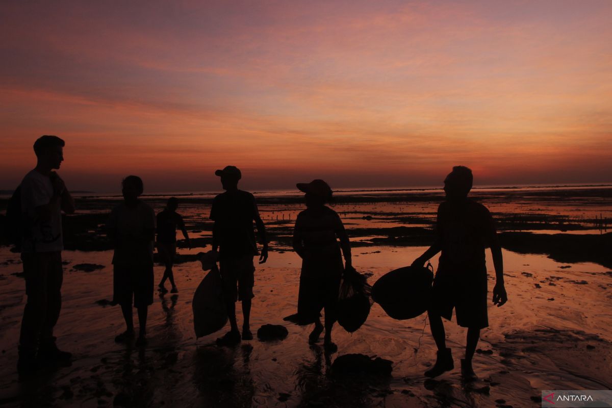 NTT Provincial Government Develops Five Integrated Seaweed Cultivation Clusters