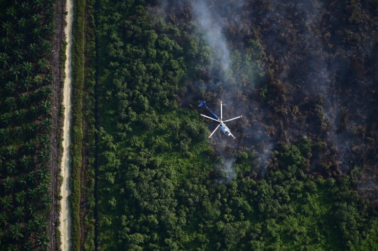Forest Fire Intensity Rises in Bangka, Regent Fery Insani Urges Public Vigilance