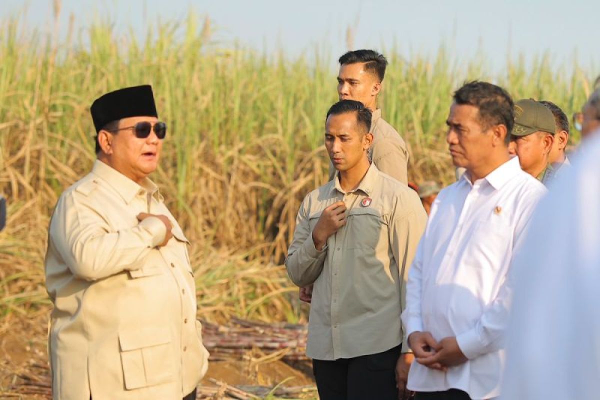 Indonesia orders sugar processors to own local cane plantations
