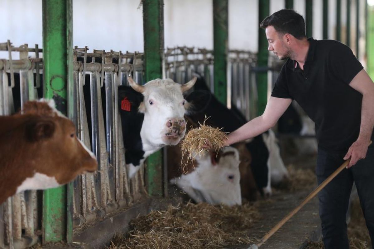 Turkish Farmers Face Soaring Costs Despite Bumper Harvest