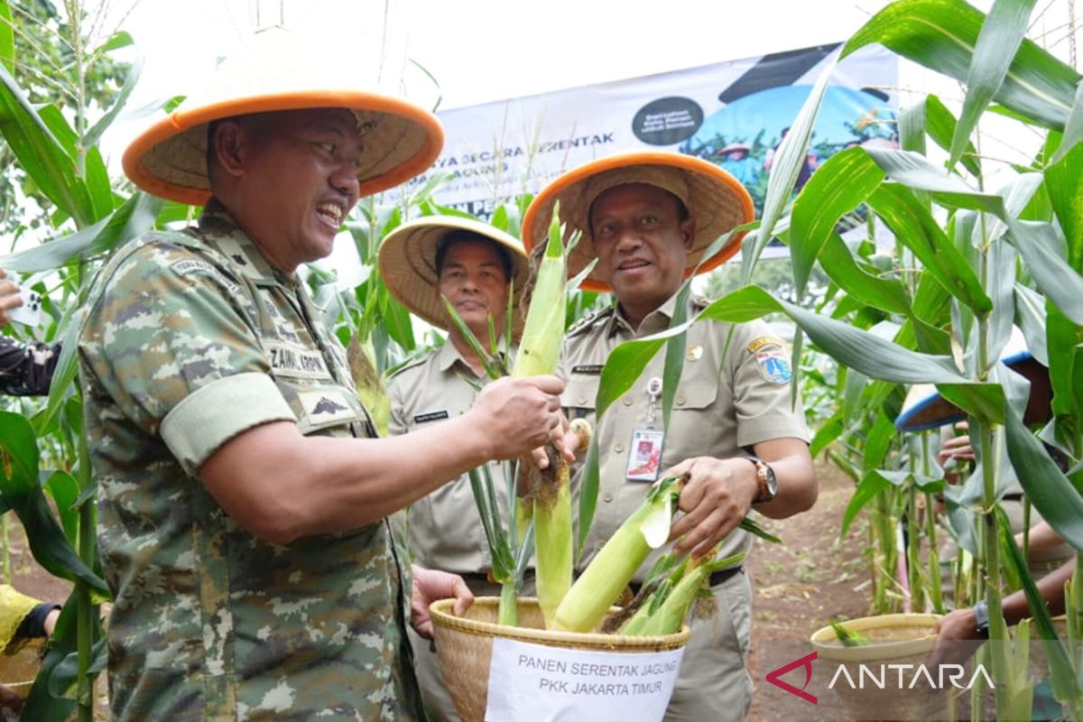 East Jakarta Government Selects Pilot Schools for Urban Farming Development