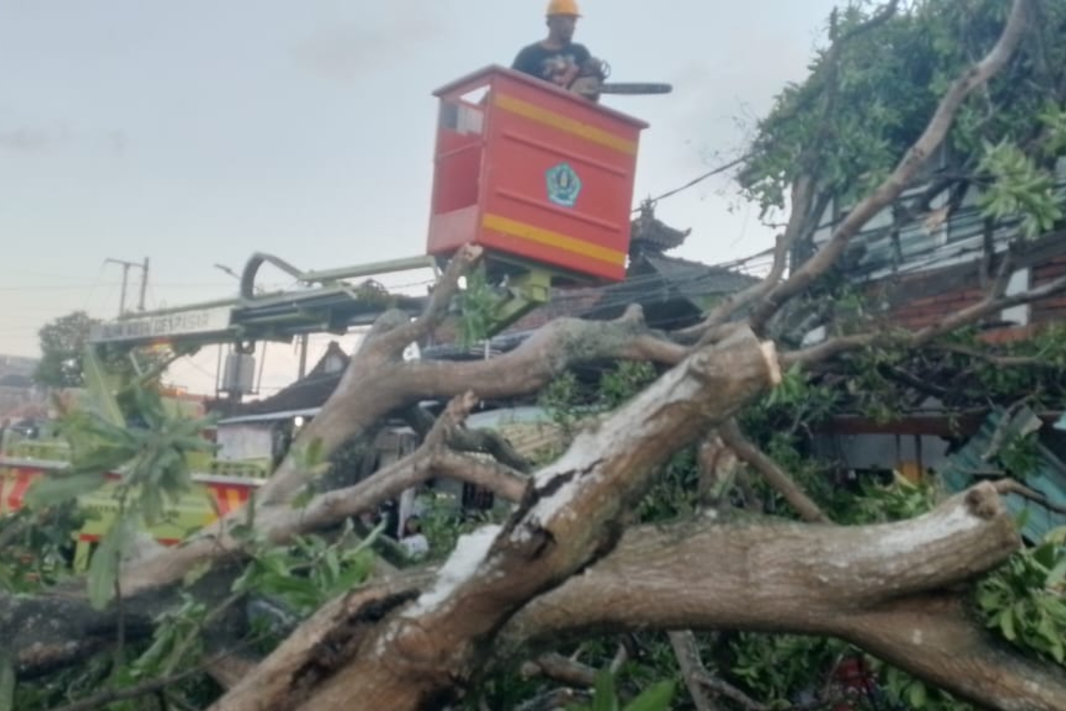 Strong Winds Forecast to Hit Bali Until 30 July, Residents Urged to Remain Vigilant