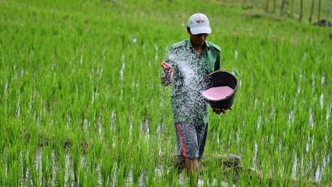 Complete Breakdown: Government Disburses Rp 281 Trillion in Subsidies for Diesel and Fertilisers