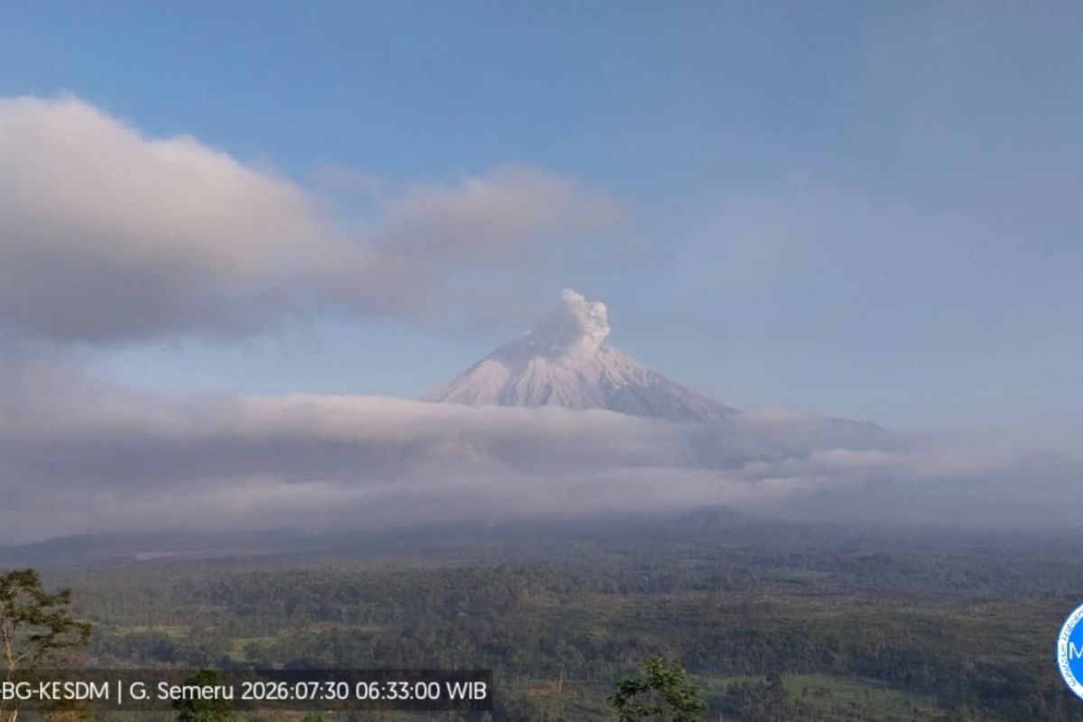 Semeru Erupts, Spewing Ash 700 Metres Above Summit