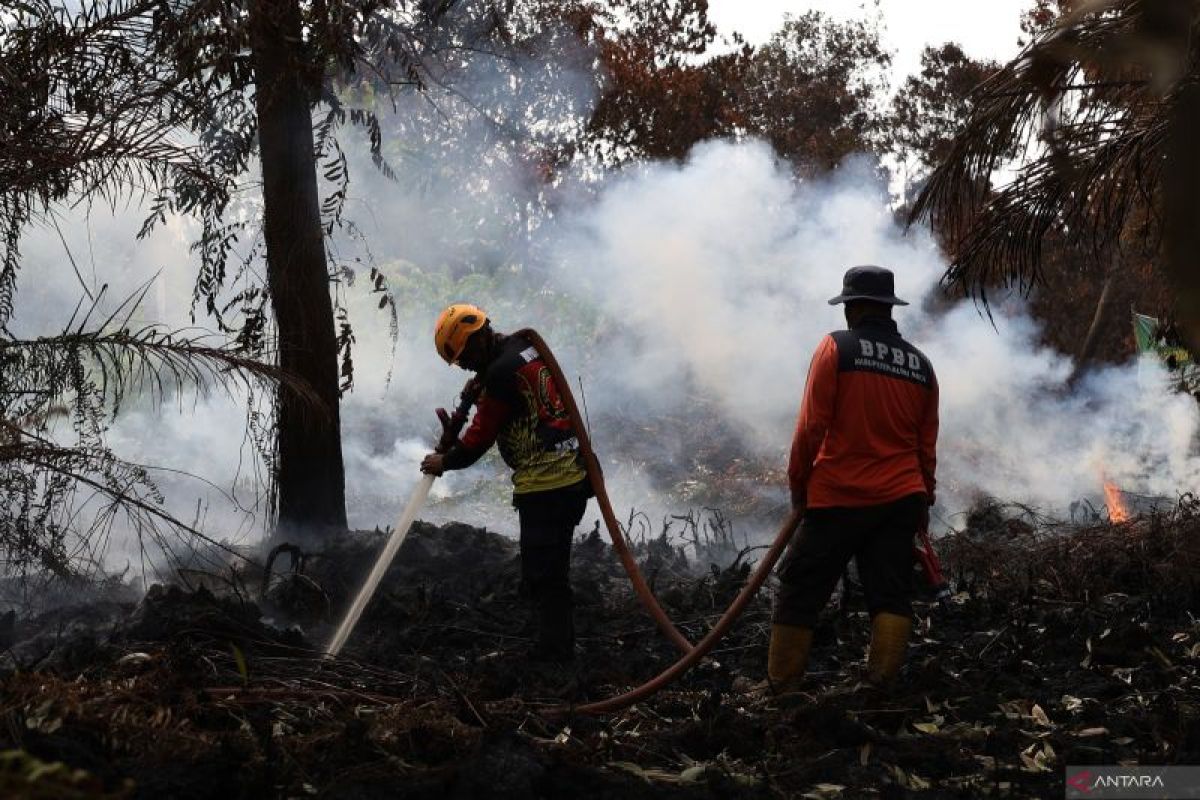 Popular: SPPG in High-Stunting Areas, Forest Fires in Central Java