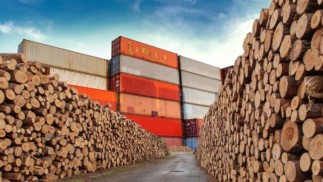 World's Top 30 Sawnwood Producers: Where Does Indonesia Rank?