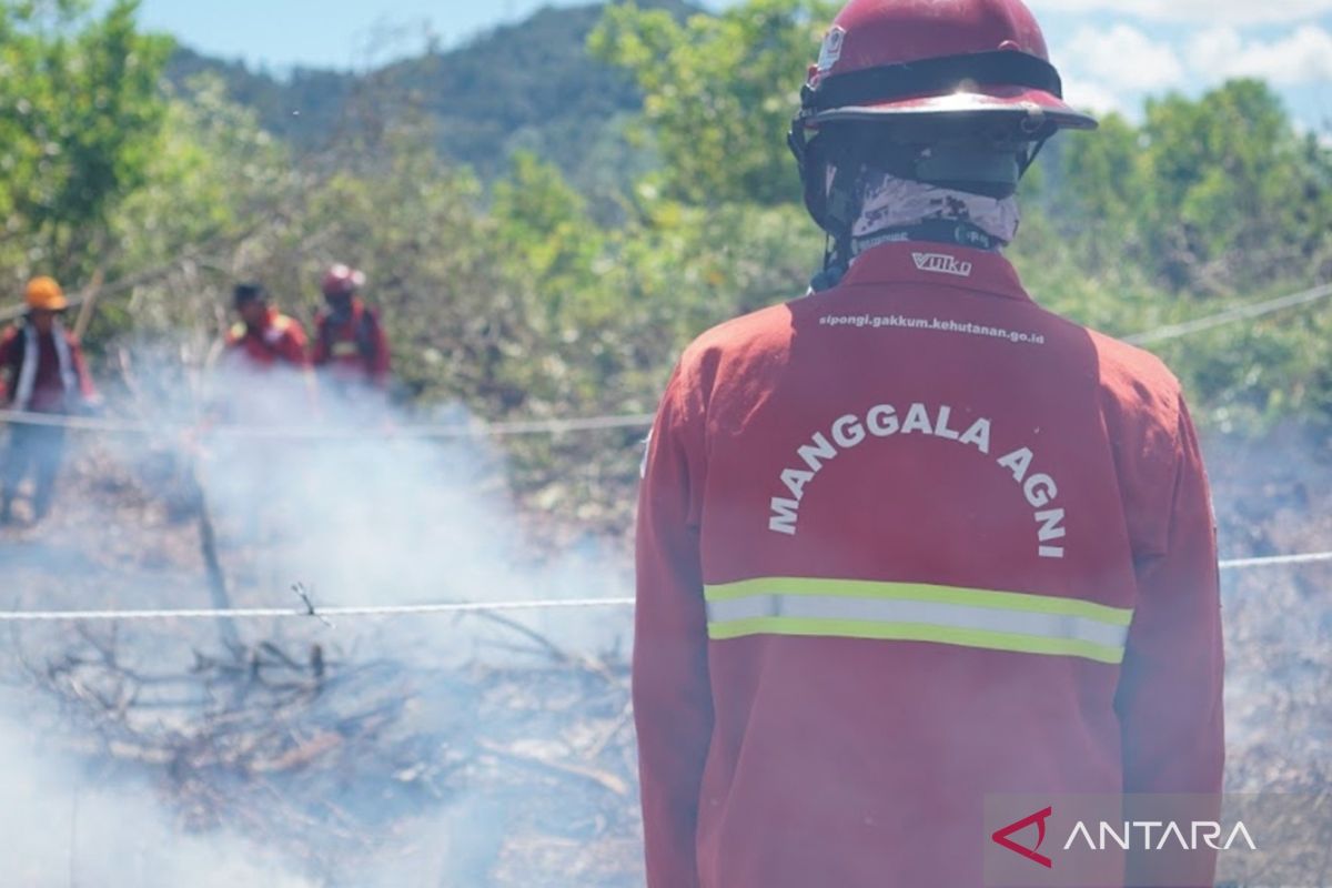 Ministry of Forestry Makes West Kalimantan a Pilot for National Peatland Fire Risk Mapping