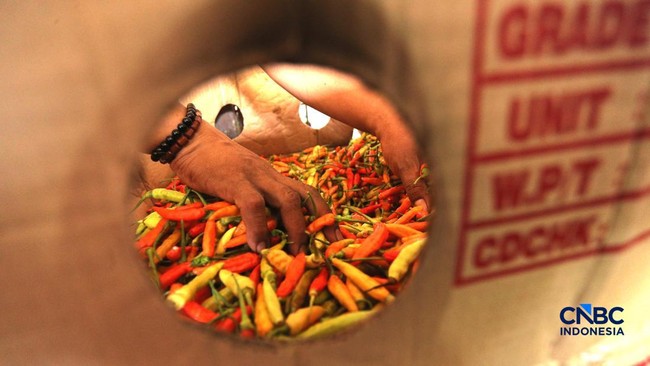 Fond of Spicy Food? Study Reveals Chilli Can Relieve Pain