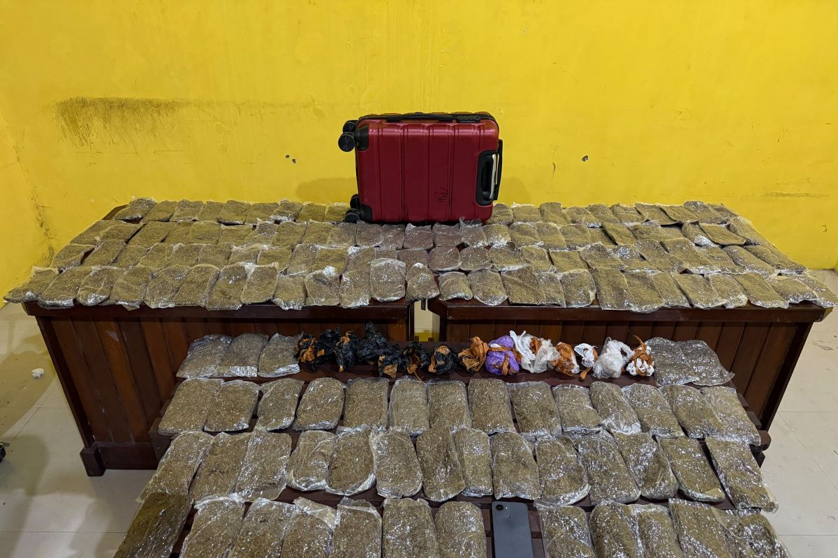 Police arrest courier with 5.4 kg of cannabis at Sorong Port