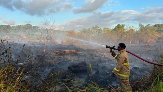 Disaster Strikes Indonesia: Forest Fires and Drought Spread Across Regions