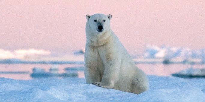 From Gibraltar to the Arctic