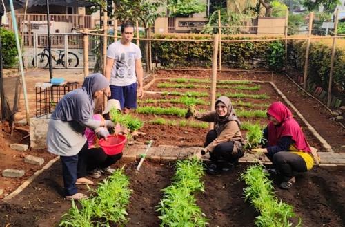 Mercu Buana University Develops Smart Rain Garden for Water Conservation
