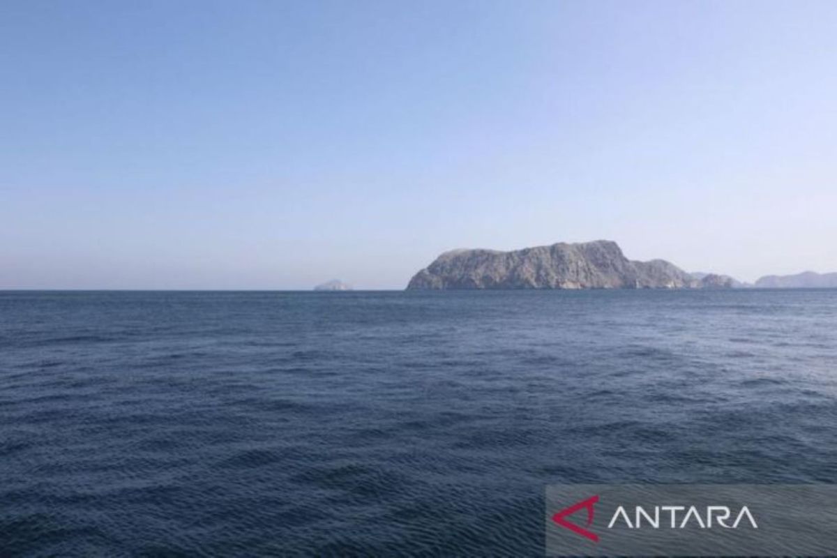 Houthi Official Says Japanese Vessels Will Not Be Targeted in Bab el-Mandeb Strait
