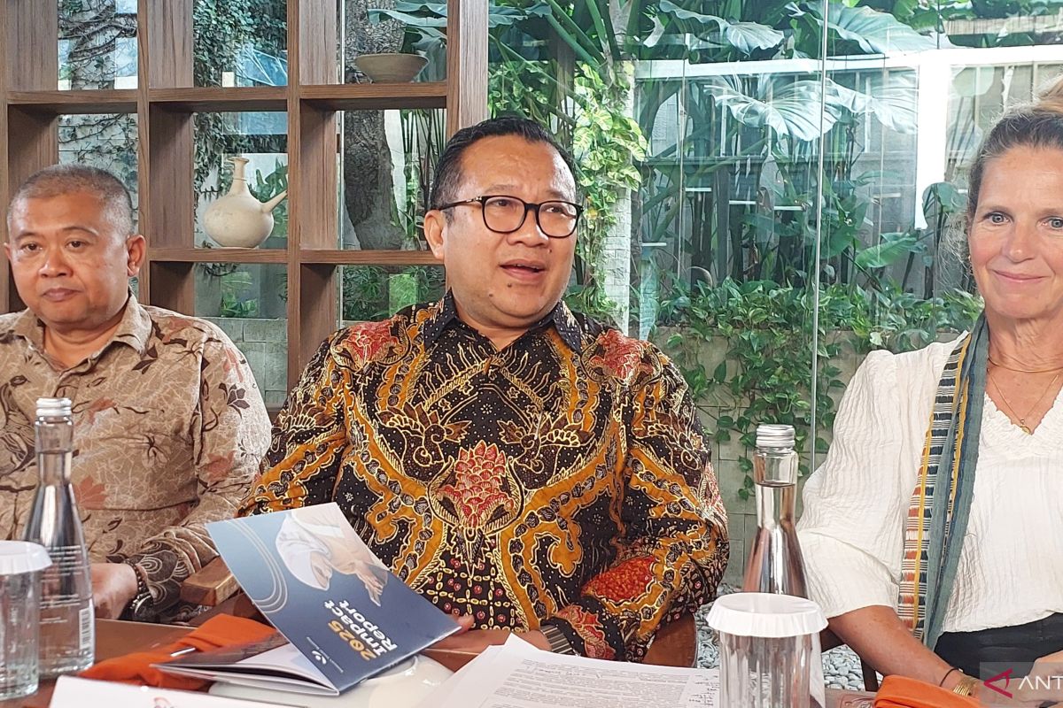 OJK Strategy to Expand MSME Financing Access via Alternative Credit Scoring