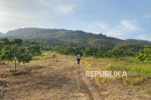 Two Mountains in West Bandung Drilled for Mining, West Java ESDM: Permits Already Obtained