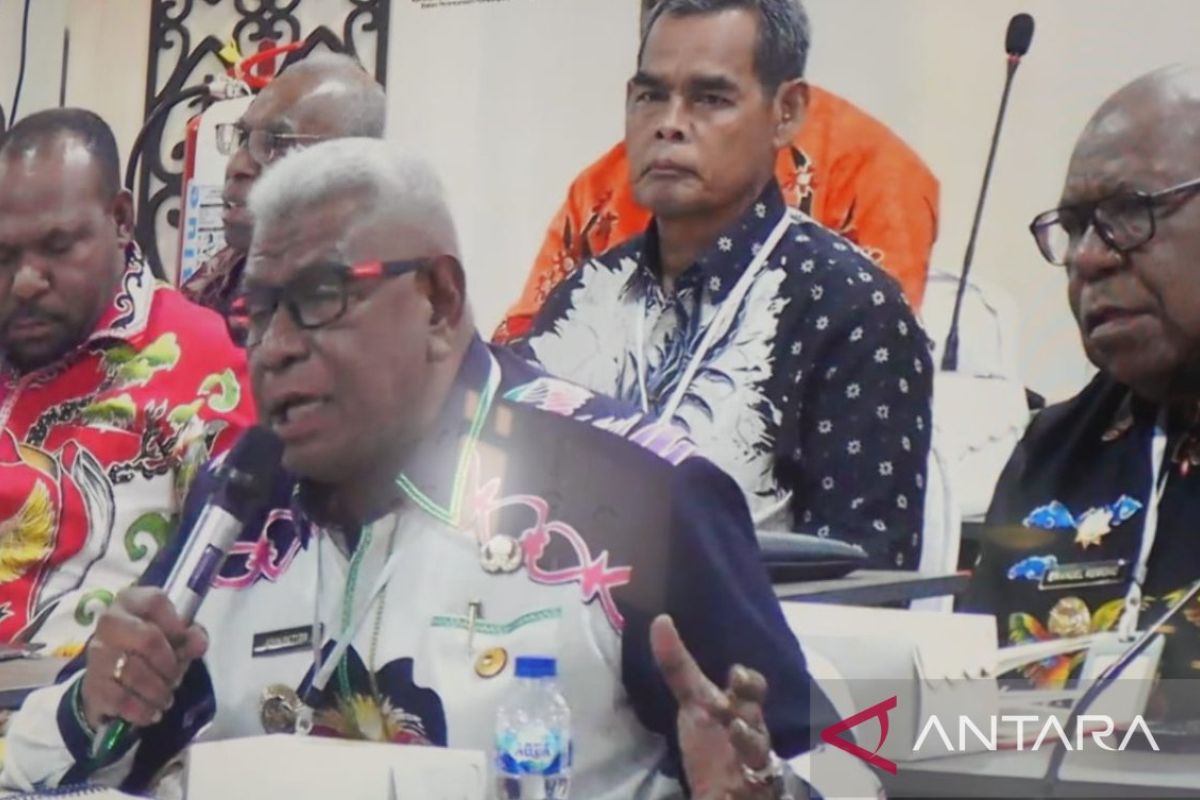Mimika Regent Proposes Bappenas Prioritise Inter-Regional Infrastructure Development