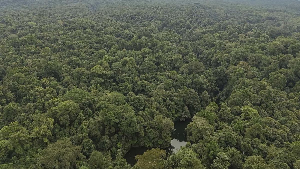Two Suspects Identified in Bukit Barisan Selatan National Park Encroachment Case