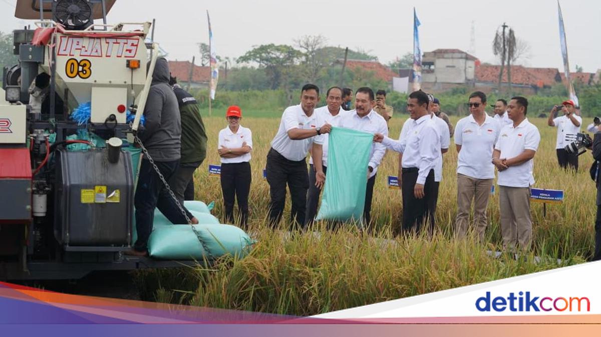 Securing Food Security: Attorney General's Office Launches 'Jaga Desa' Early Warning System