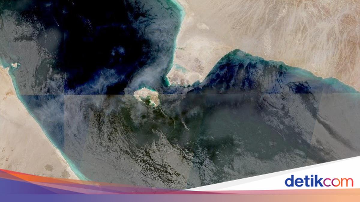 Saudi Arabia Forms Red Sea Coalition to Counter Houthi Attacks